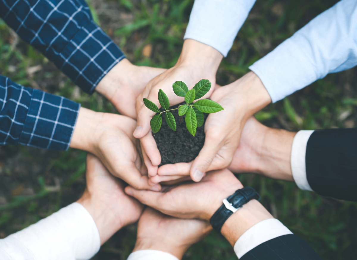 Community Wellness and Awareness